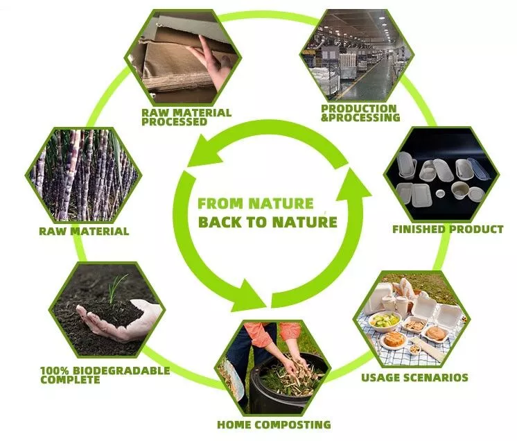 Elevating Sustainability and Customer Satisfaction at BIOPACK