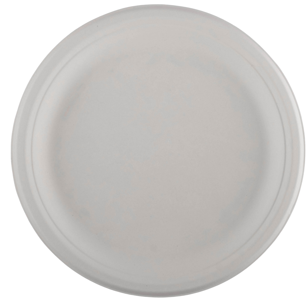 10 ROUND PLATE